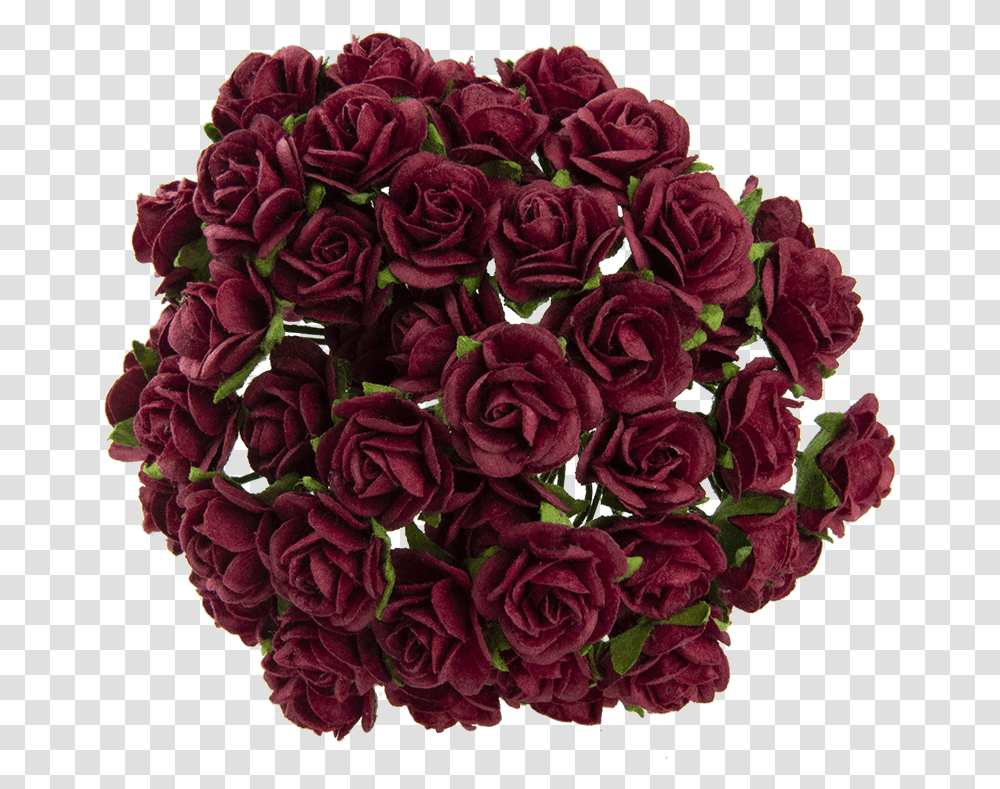 Red Rose Deep Floribunda, Plant, Flower, Blossom, Flower Bouquet Transparent Png