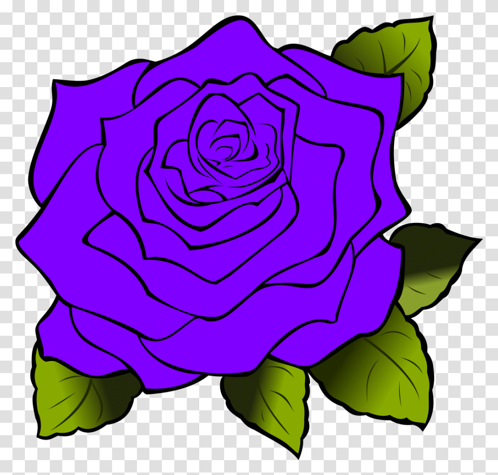 Red Rose Drawing, Flower, Plant, Blossom, Spiral Transparent Png