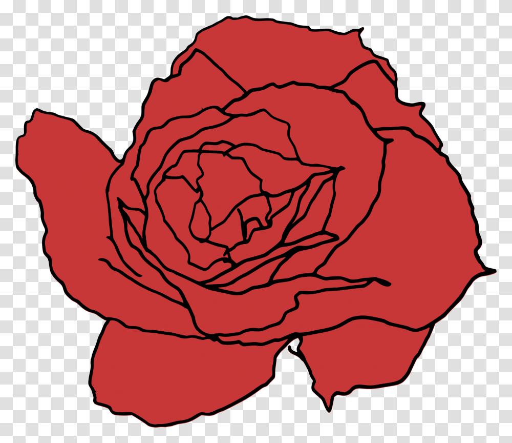 Red Rose Drawn Rose, Plant, Flower, Blossom, Carnation Transparent Png