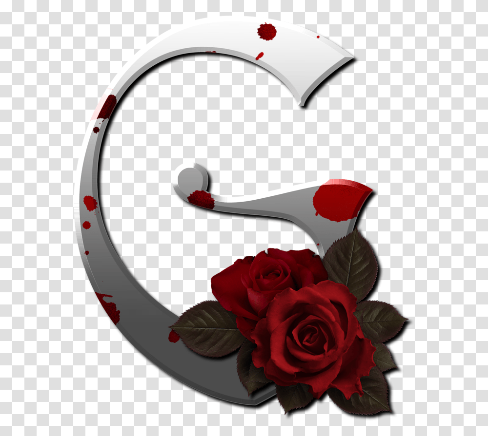 Red Rose F Letter Rose, Flower, Plant, Blossom Transparent Png