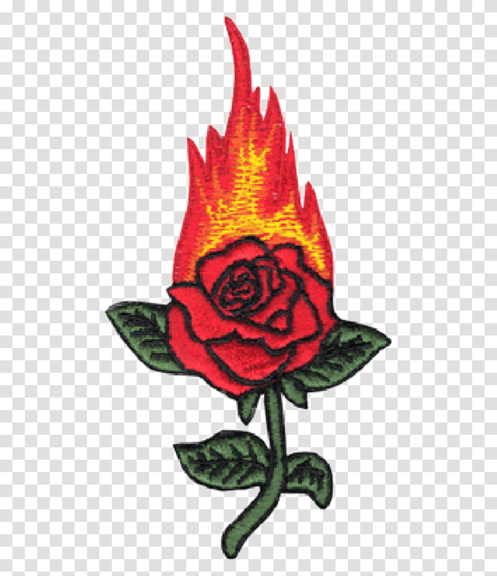 Red Rose Fair Green Flower Tumblr Freetoedit Rose On Fire Drawing, Plant, Blossom, Leaf, Leisure Activities Transparent Png