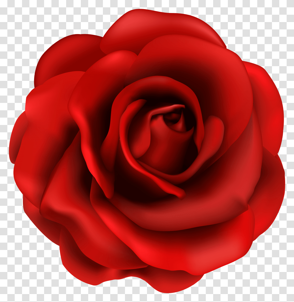 Red Rose Flower Clipart Image Red Rose Clipart Transparent Png