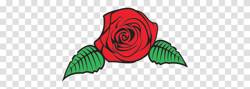 Red Rose Flower Free Svg Rose Vector, Plant, Blossom, Spiral, Coil Transparent Png