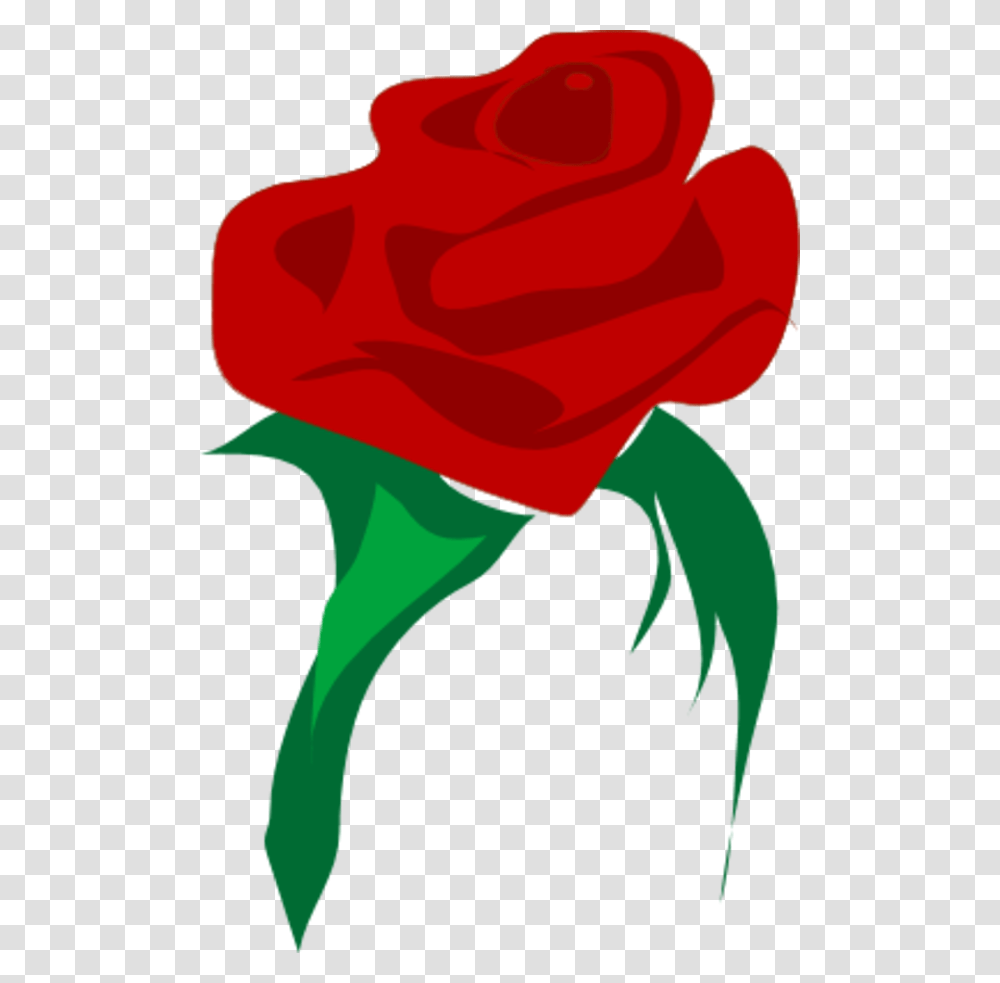 Red Rose, Flower, Plant, Blossom, Petal Transparent Png