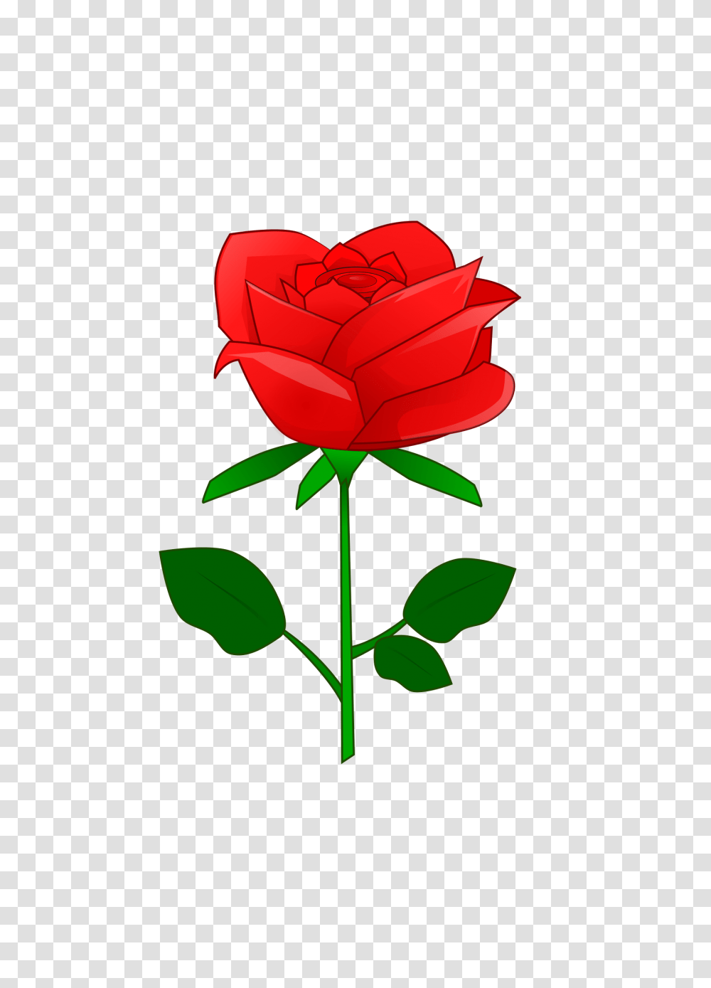 Red Rose, Flower, Plant, Blossom Transparent Png