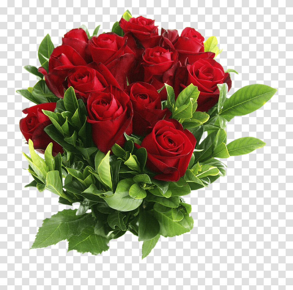 Red Rose Flower, Plant, Flower Bouquet, Flower Arrangement, Blossom Transparent Png