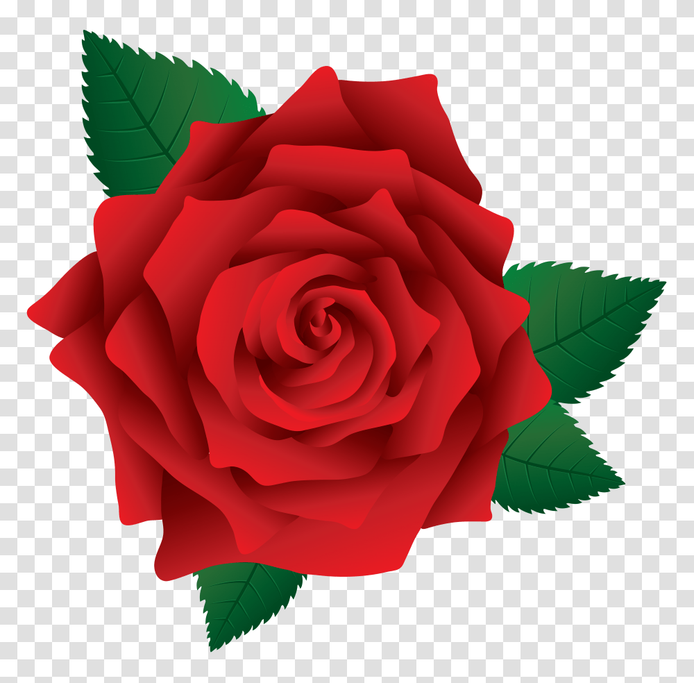 Red Rose Image Transparent Png