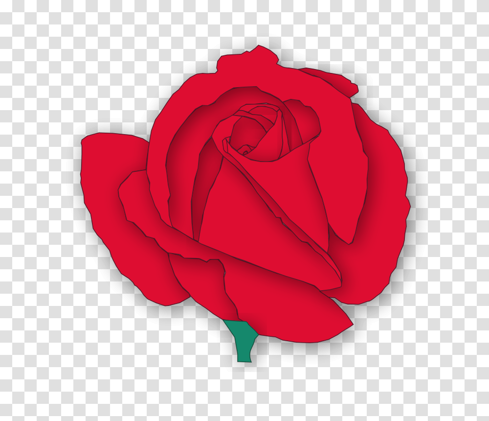 Red Rose, Nature, Flower, Plant, Blossom Transparent Png
