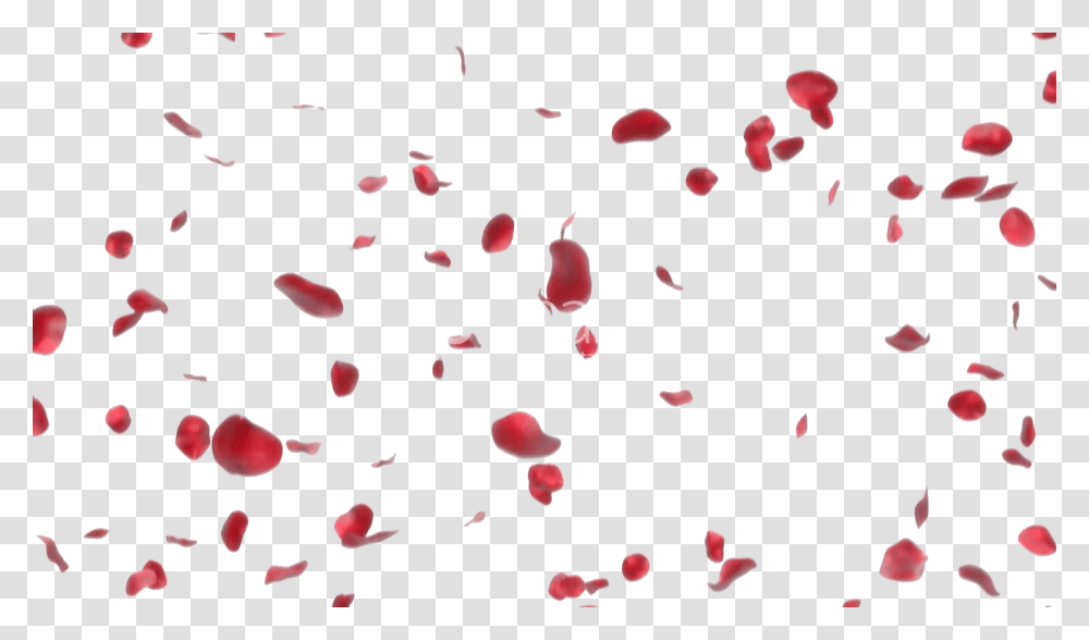 Red Rose Petal, Flower, Plant, Blossom, Paper Transparent Png