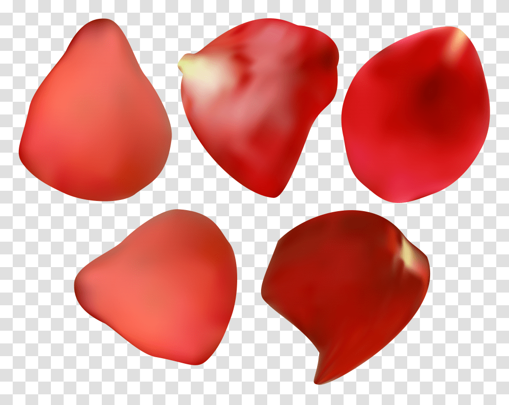 Red Rose Petal Transparent Png