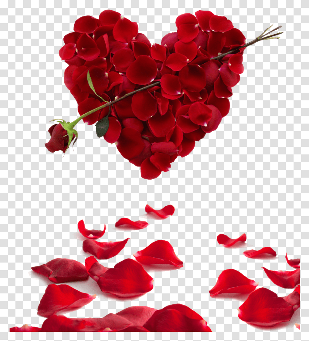 Red Rose Petals Valentines Day Heart Roses, Flower, Plant, Blossom, Geranium Transparent Png