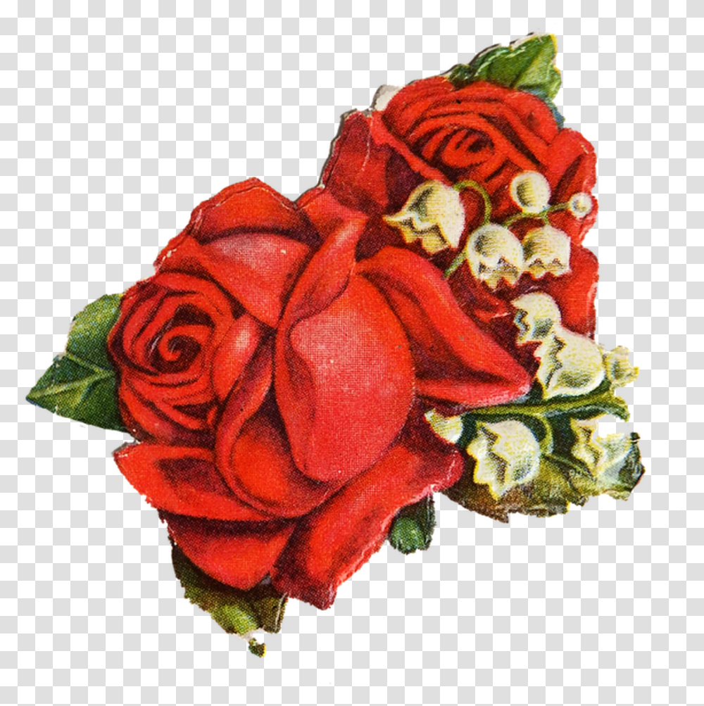 Red Rose Rose Vintage, Flower, Plant, Blossom, Flower Bouquet Transparent Png