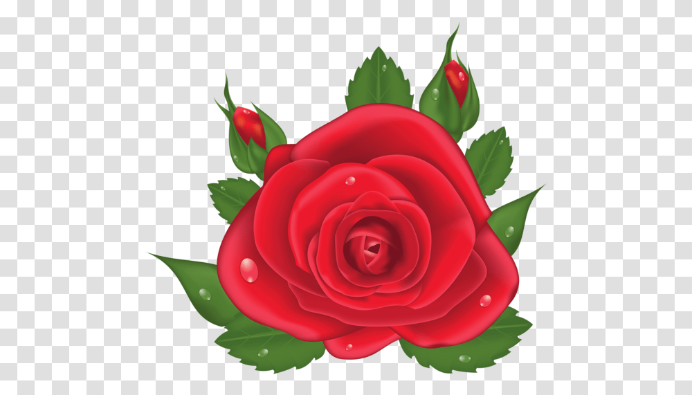 Red Rose Roses Love Clip Art Plants Flores Vermelha Desenho, Flower, Blossom, Petal, Dahlia Transparent Png
