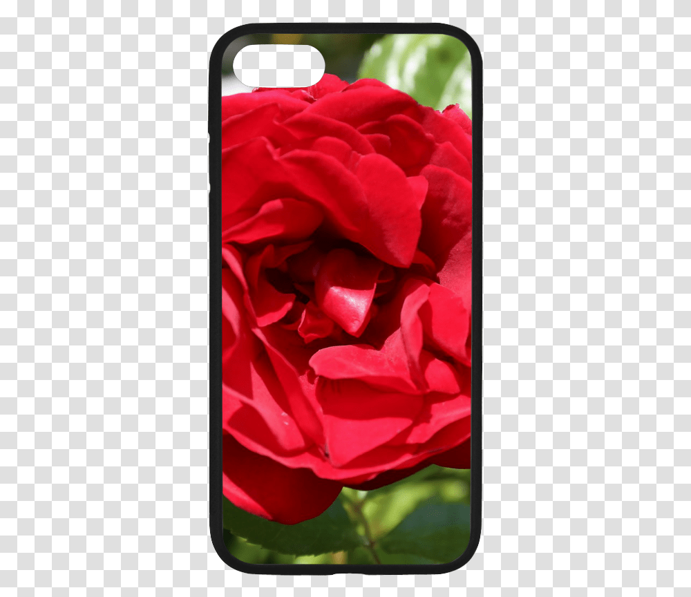 Red Rose Rubber Case For Iphone 7 Smartphone, Flower, Plant, Blossom, Electronics Transparent Png