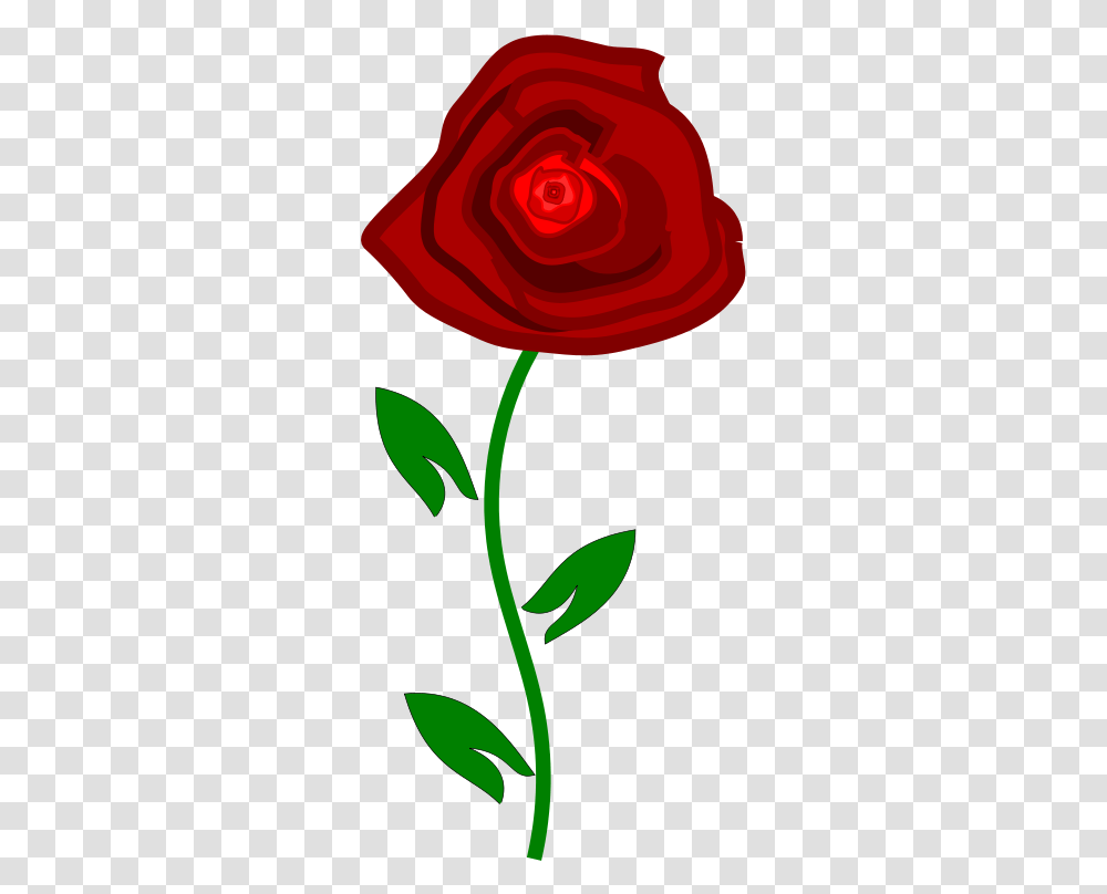 Red Rose Small Picture Hd, Flower, Plant, Blossom, Petal Transparent Png