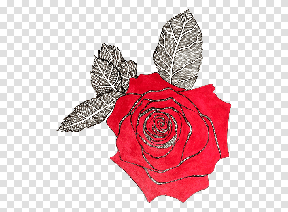 Red Rose With Black Lining, Flower, Plant, Blossom, Person Transparent Png
