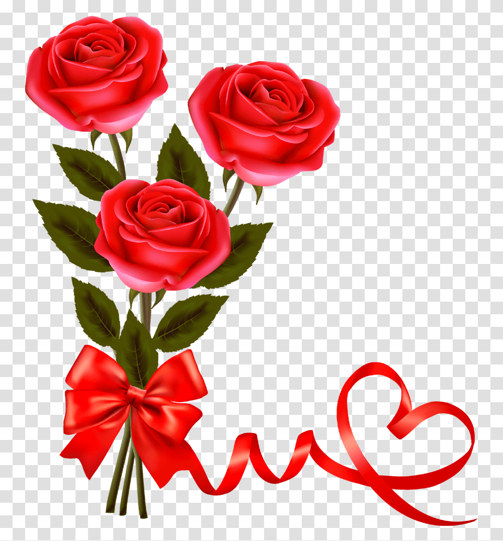 Red Roseflowerfreepngtransparentimagesfreedownload Rose Hd, Plant, Blossom, Flower Bouquet, Flower Arrangement Transparent Png