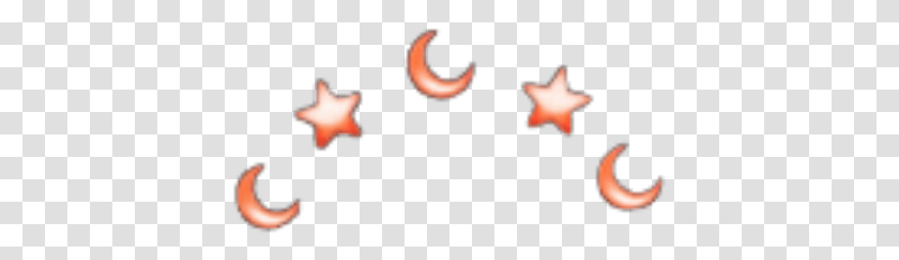 Red Rosegold Star Stars Moon Moons Aesthetic Stars And Moons Aesthetic, Animal, Person, Tree, Plant Transparent Png