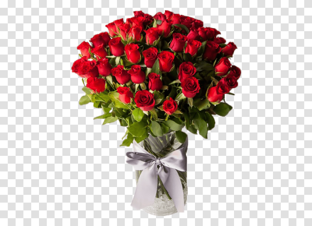 Red Roses Beautiful Rose For Her, Plant, Floral Design, Pattern Transparent Png