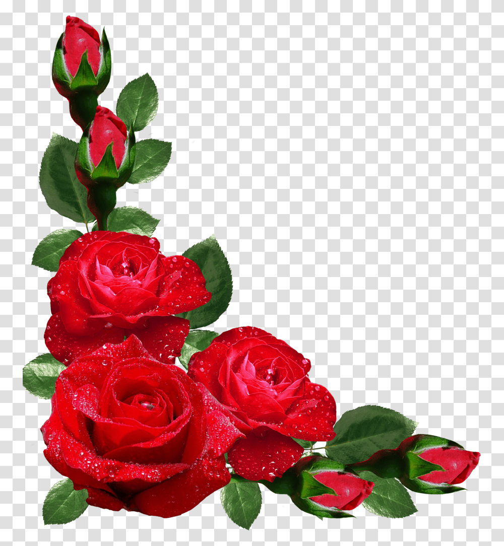 Red Roses Border Border Design Of Flowers, Plant, Blossom, Flower Bouquet, Flower Arrangement Transparent Png