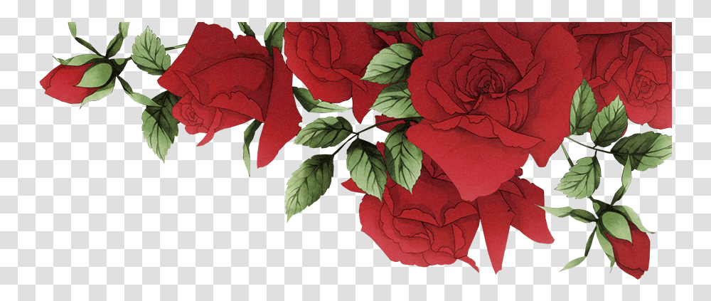 Red Roses Border, Leaf, Plant, Floral Design Transparent Png