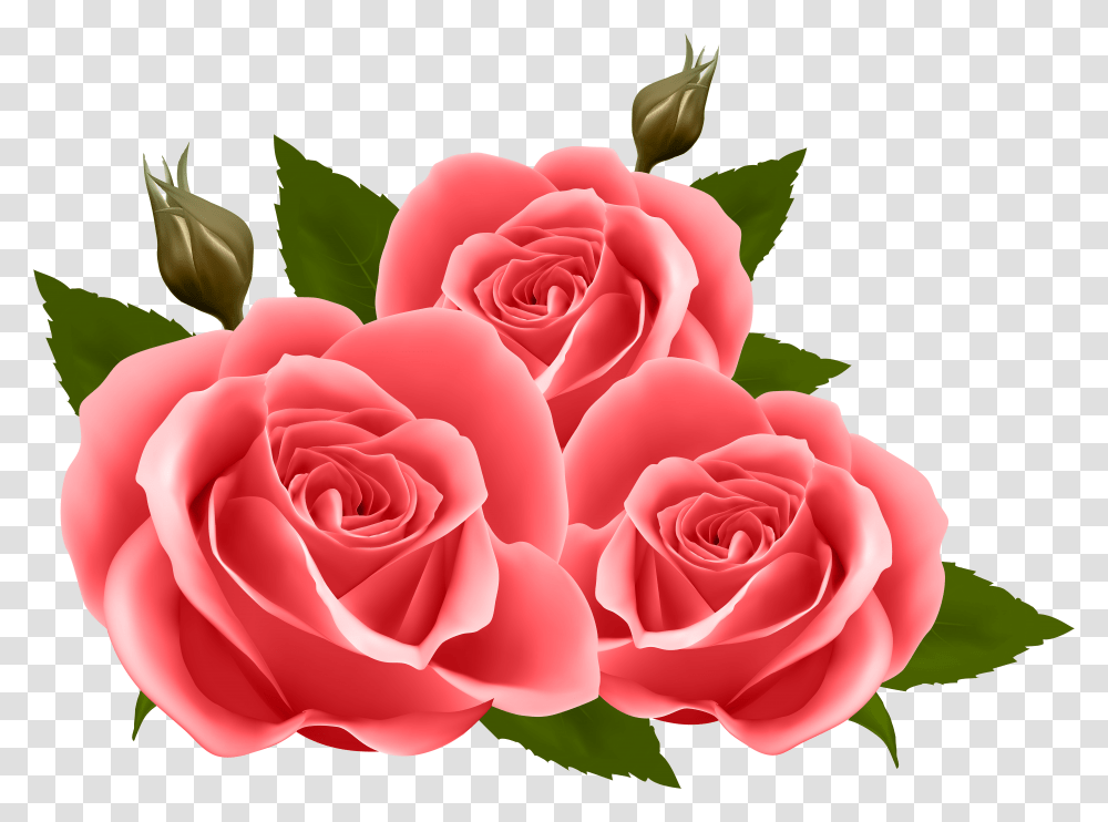 Red Roses Clip Art Image Background Roses Clipart Transparent Png