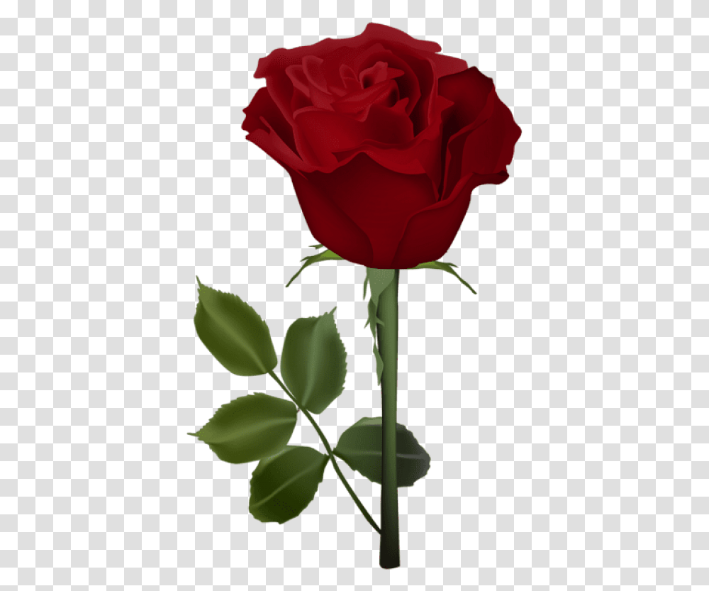 Red Roses Clipart Dil Gulab Ka Phool, Flower, Plant, Blossom Transparent Png