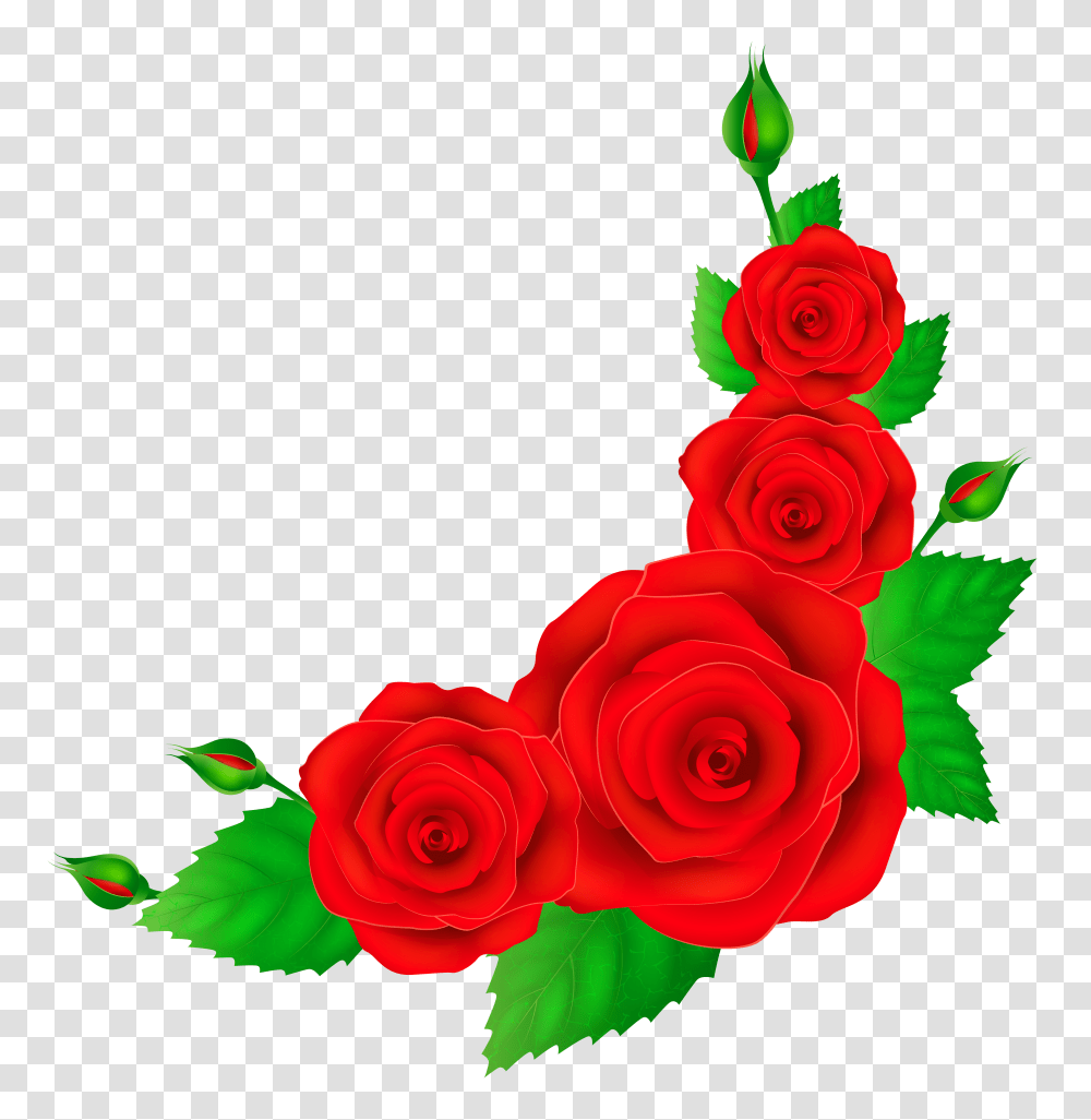 Red Roses Corner Clip Art, Flower, Plant, Blossom, Petal Transparent Png