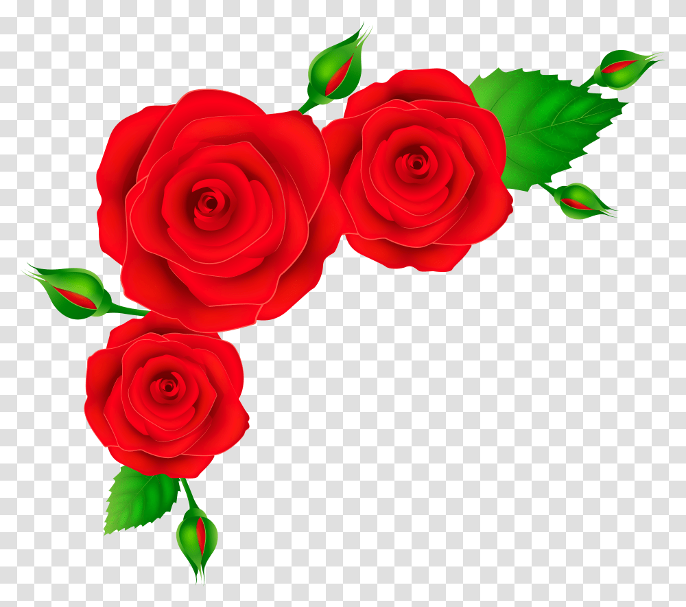 Red Roses Corner Clip Art Image Transparent Png