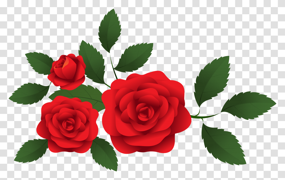 Red Roses Decoration Red Roses Clip Art, Flower, Plant, Blossom, Petal Transparent Png