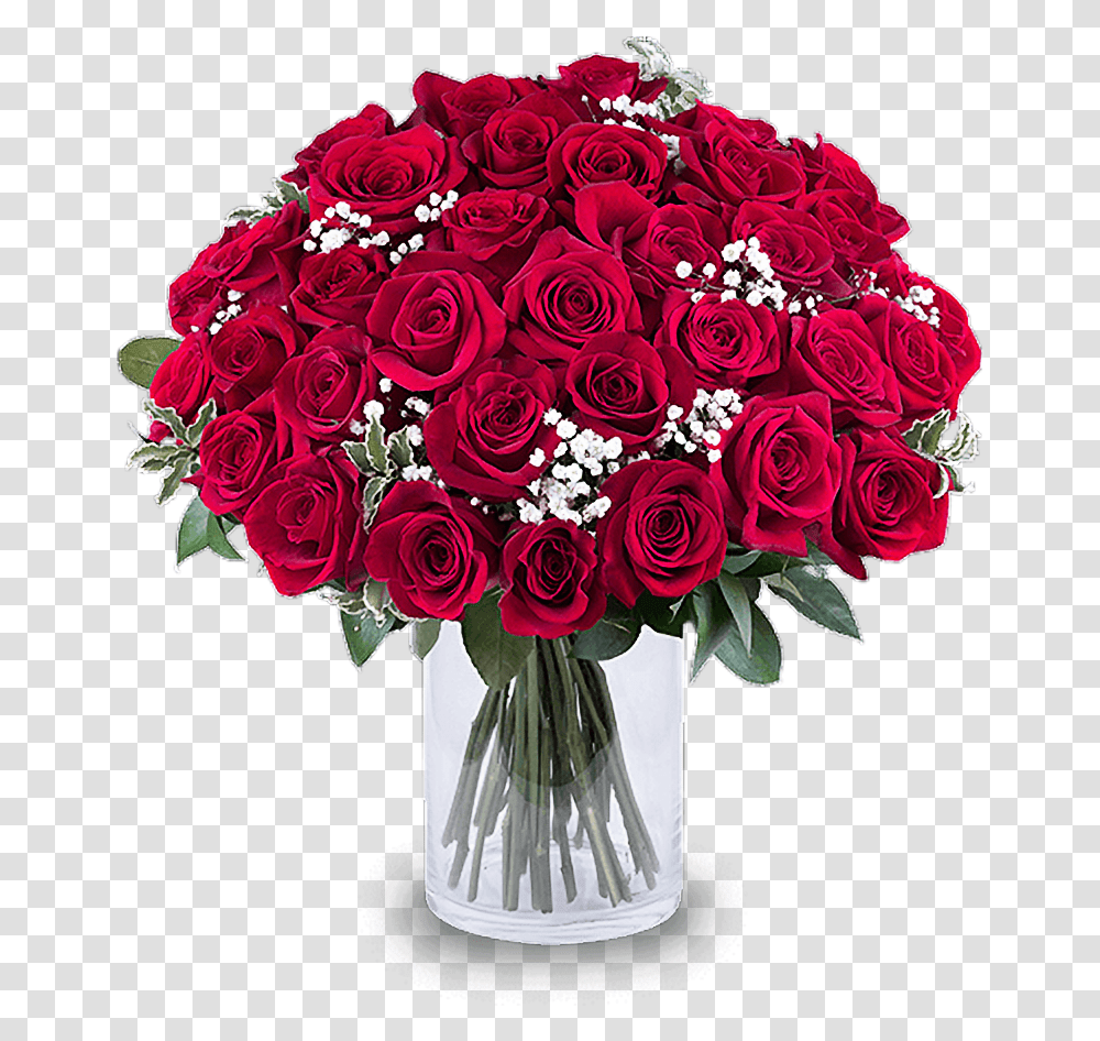 Red Roses Floribunda, Plant, Flower, Blossom, Flower Bouquet Transparent Png