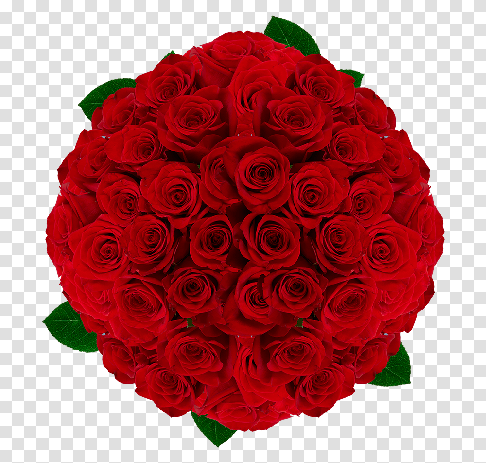 Red Roses For Valentine's Day Garden Roses, Flower, Plant, Blossom, Flower Bouquet Transparent Png