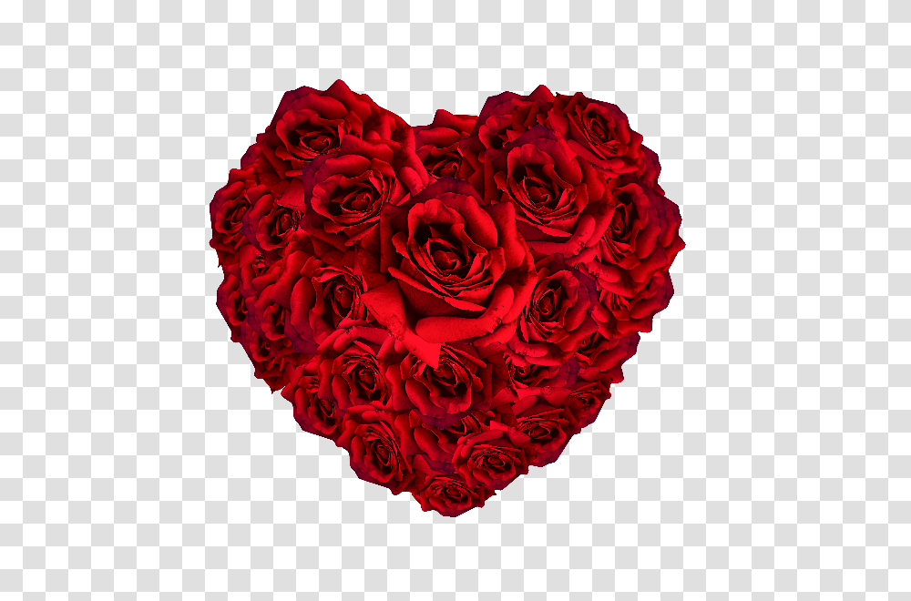 Red Roses Heart, Plant, Flower, Blossom, Dahlia Transparent Png