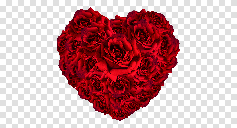 Red Roses Heart Rose Flower Heart, Plant, Blossom, Dahlia, Petal Transparent Png