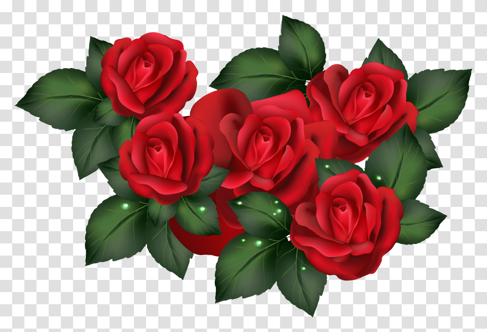 Red Roses Photo Background Transparent Png