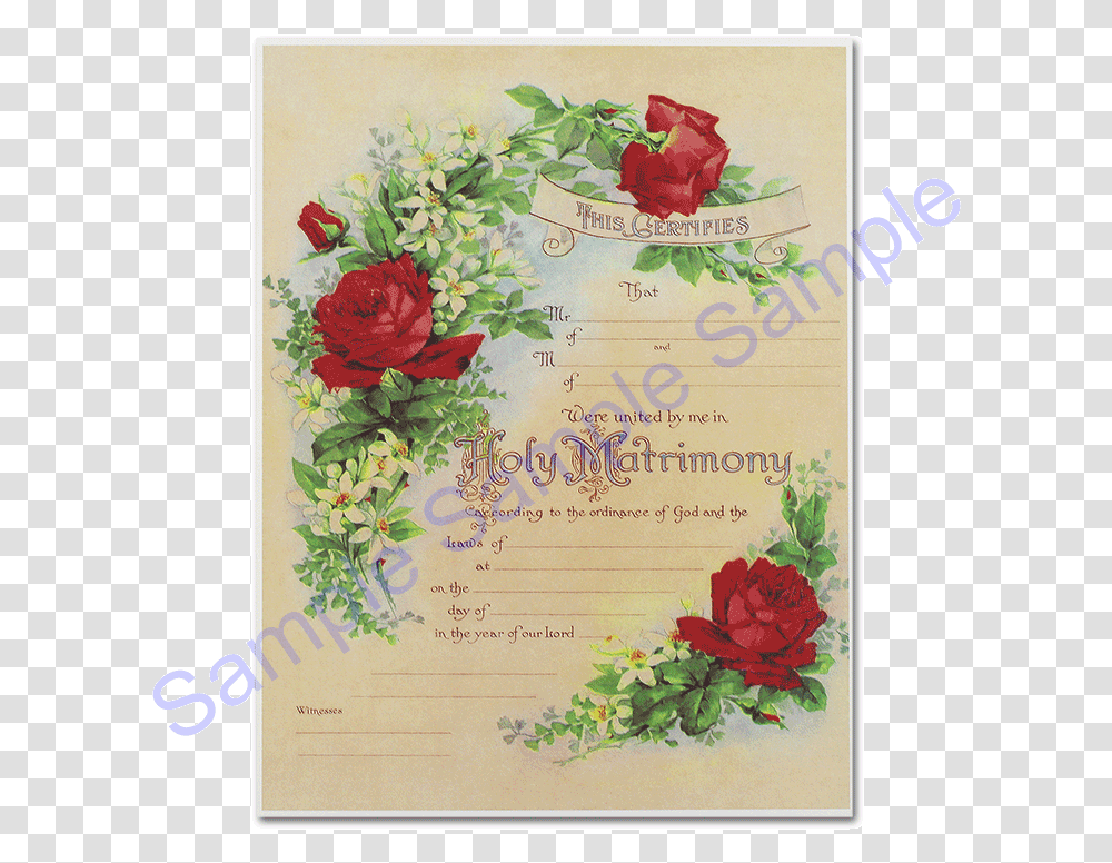 Red Roses Rose Floral Marriage Certificate, Envelope, Mail, Greeting Card Transparent Png