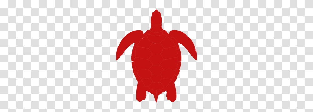 Red Sea Turtle Clip Art, Person, Outdoors, Animal, Nature Transparent Png