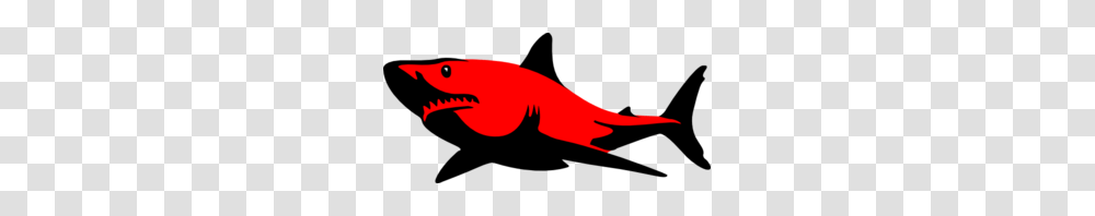 Red Shark Clip Art, Wildlife, Animal, Amphibian, Sea Life Transparent Png