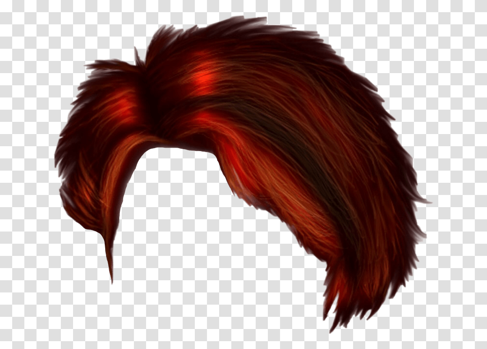 Red Short Hair Short Red Hair, Bird, Animal, Pattern, Ornament Transparent Png