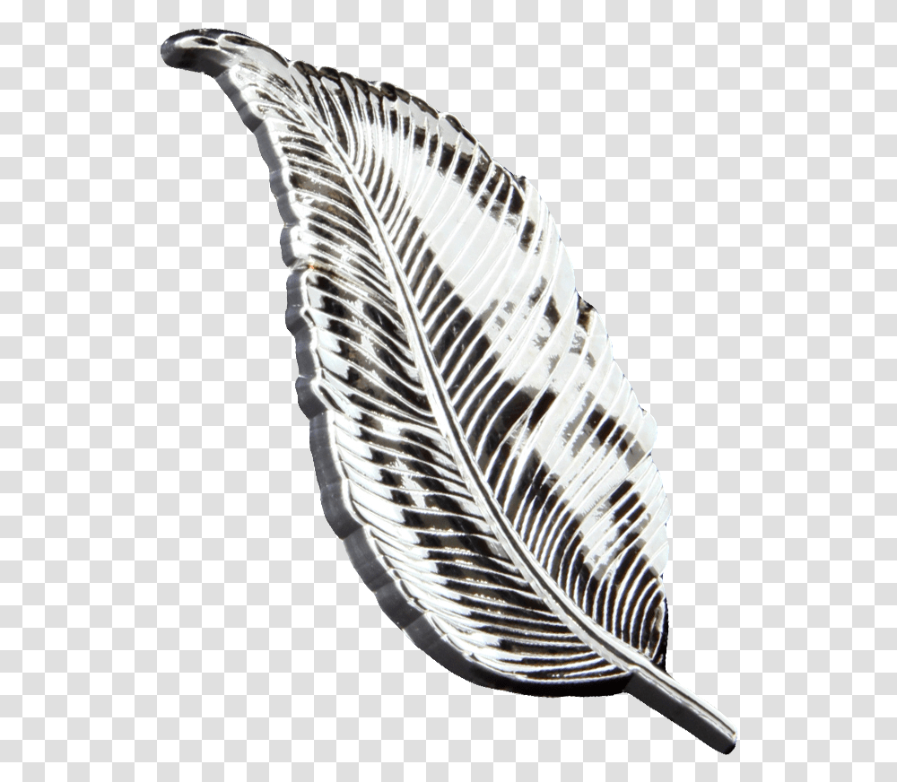 Red Shouldered Hawk, Zebra, Mammal, Animal, Bird Transparent Png