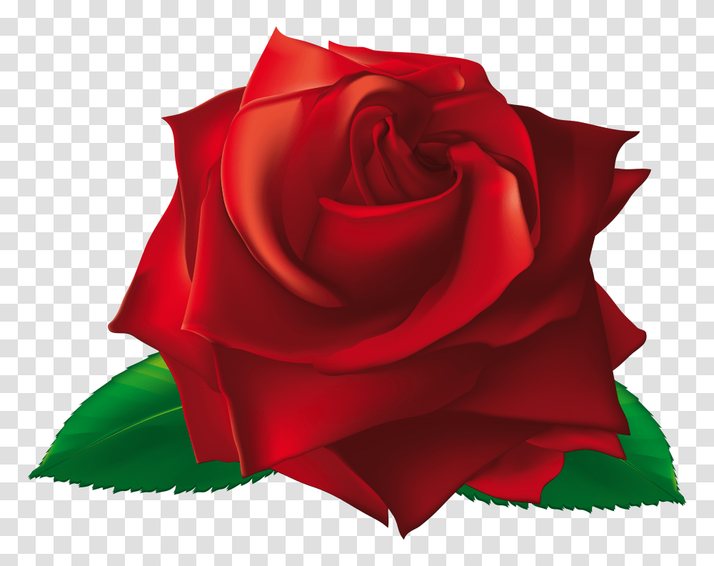 Red Single Rose Clipart, Flower, Plant, Blossom, Petal Transparent Png