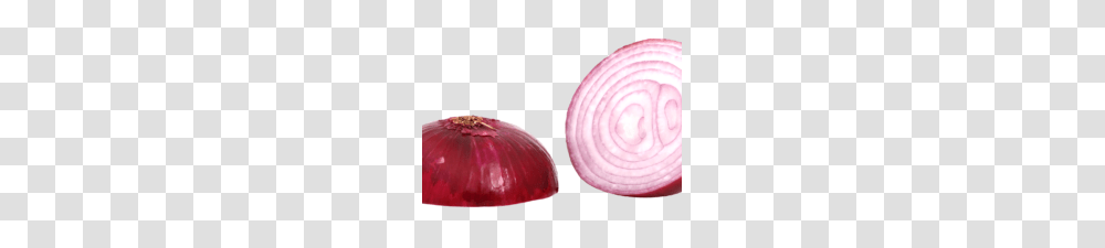 Red Sliced Onion Image Best Stock Photos, Plant, Shallot, Vegetable, Food Transparent Png