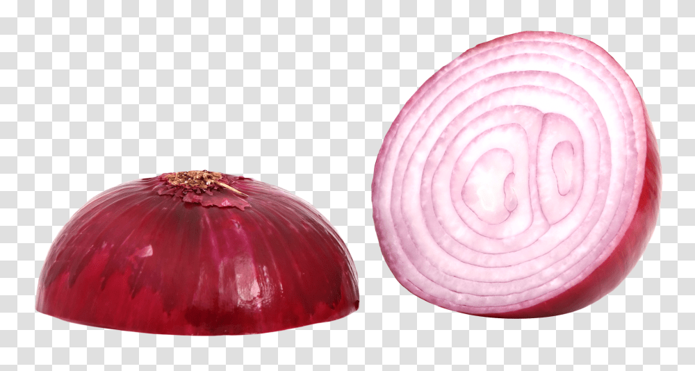 Red Sliced Onion Image, Vegetable, Plant, Shallot, Food Transparent Png