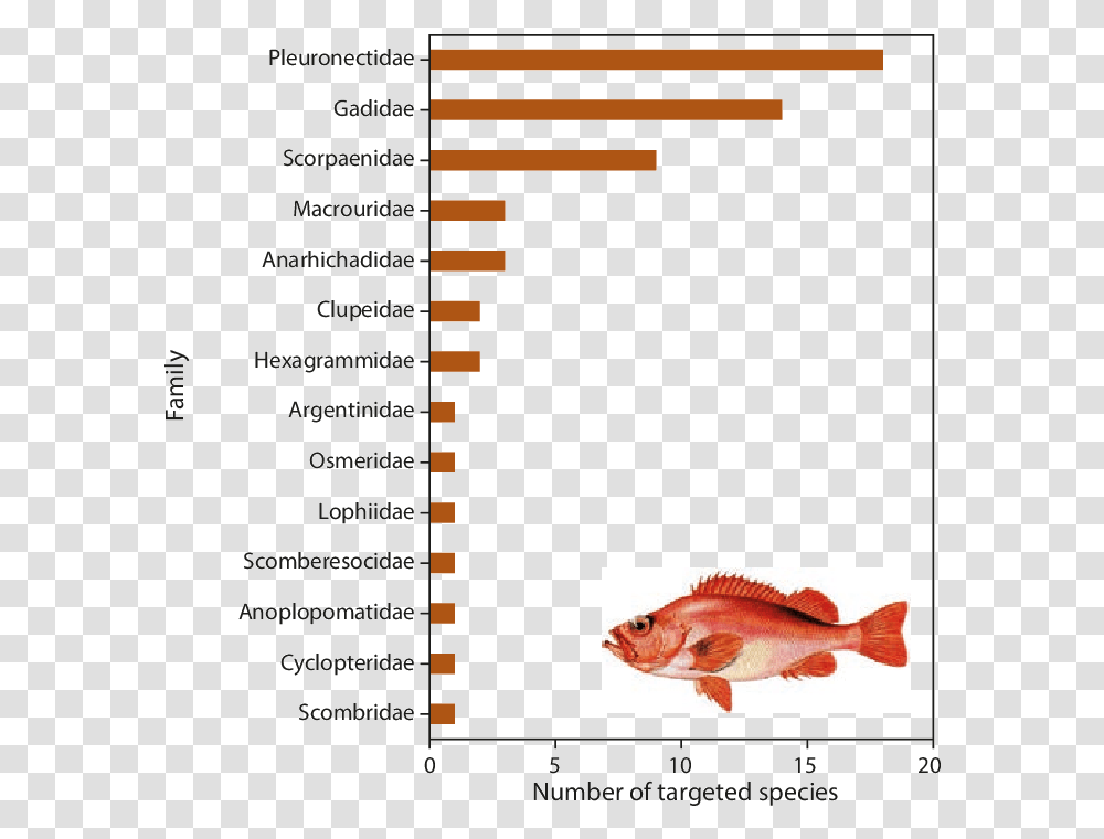 Red Snapper, Fish, Animal, Menu Transparent Png