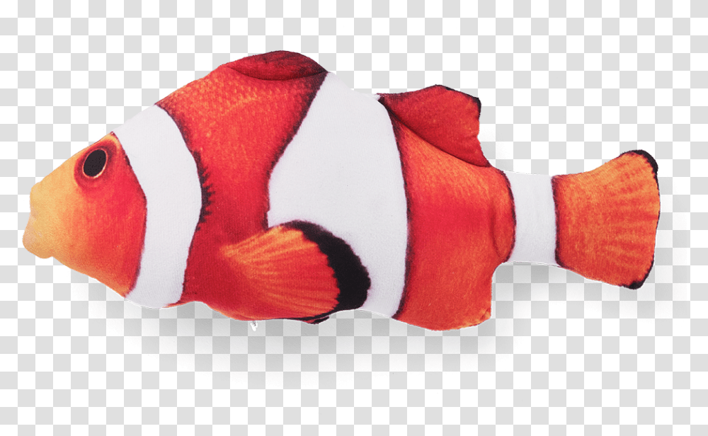 Red Snapper, Fish, Animal, Sea Life, Amphiprion Transparent Png