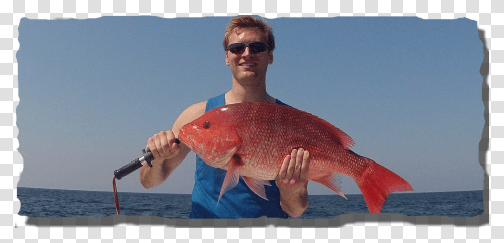 Red Snapper Pull Fish Out Of Water, Person, Human, Sunglasses, Accessories Transparent Png