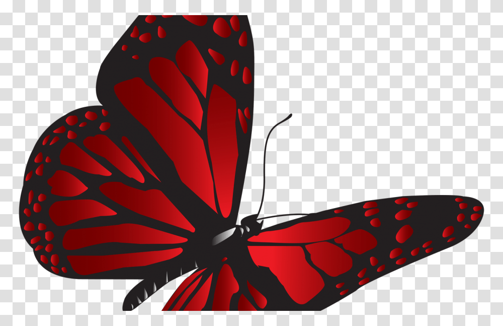 Red Sox Vs Cardinals Clip Art Hot Trending Now, Butterfly, Insect, Invertebrate, Animal Transparent Png
