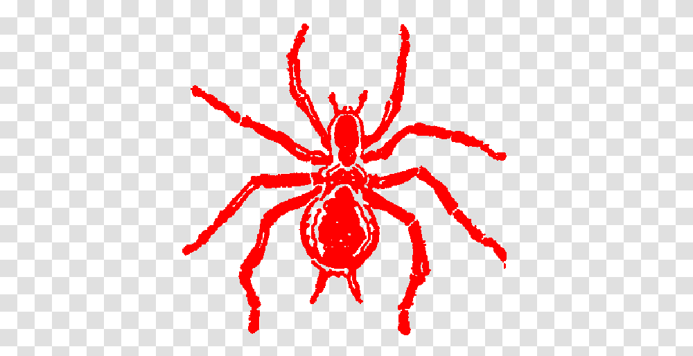 Red Spiders Pictures Group With Items, Animal, Invertebrate, Arachnid, Insect Transparent Png