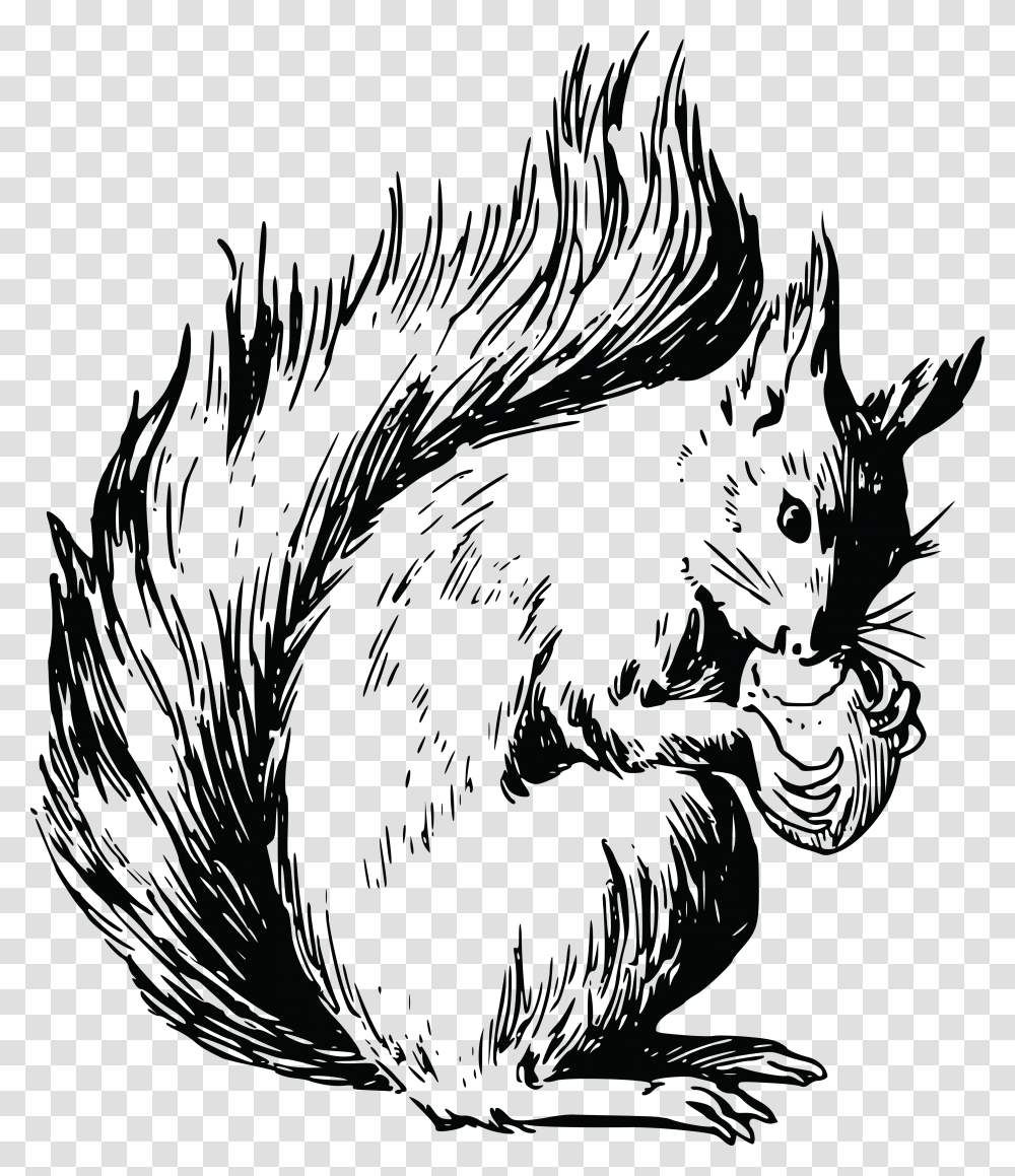 Red Squirrel Coloring Page, Cat, Pet, Mammal, Animal Transparent Png