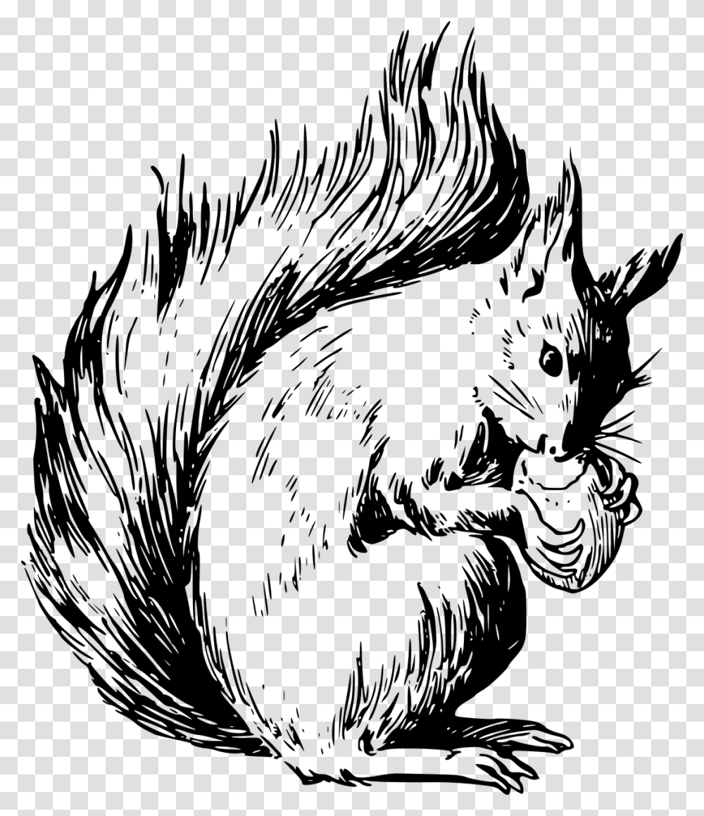 Red Squirrel Coloring Page, Gray, World Of Warcraft Transparent Png
